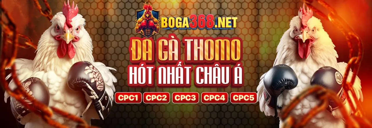 Hình ảnh các phương thức thanh toán đa dạng và an toàn tại CM8889