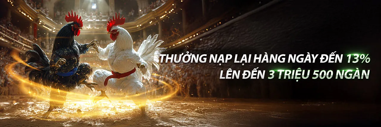 Hình ảnh đại diện Điều Khoản Dịch Vụ cm8889